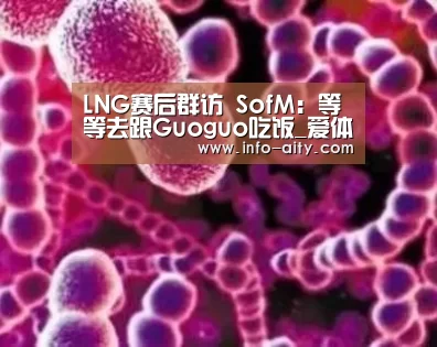 爱体育